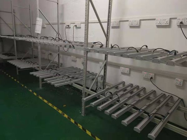 

quantum board long strip plant growth lights annual minimum price indoor greenhouses for growing flowers, flowers and vegetable water