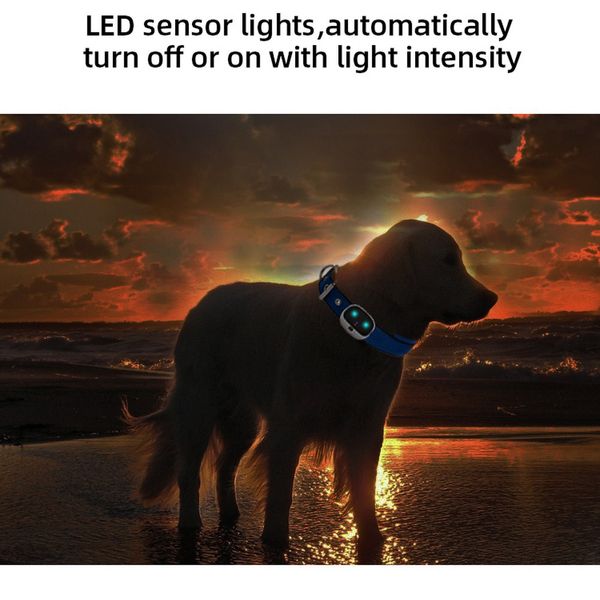 

4g gps tracker dog collar gps locator smart real-time tracking cat dogs pet waterproof security anti-lost finder device app