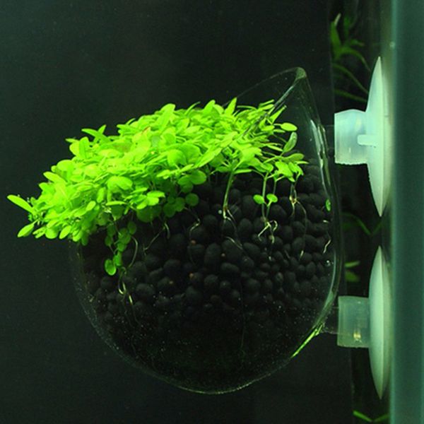 

1pcs aquarium plant holder fish tank planting holder with suction cups new