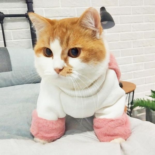 

pet dog shirt pure color cashmere plush warm coat pets cat warm clothes soft outdoor puppy cat coats costume 2020