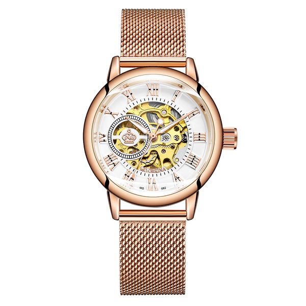 

new fashion watch women watches women watch skeleton mechanical automatic mechanical femme montre for dmuvm, Slivery;brown