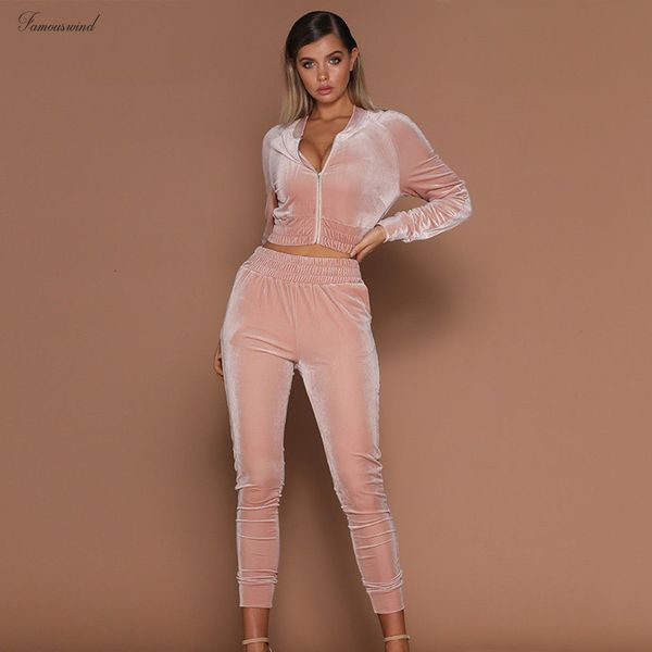 

осень новые женщины 2pcs короткие zipper толстовки толстовка elasic костюм брюки наборы аппликация velvet женщин tracksuit повседневный тали, Gray