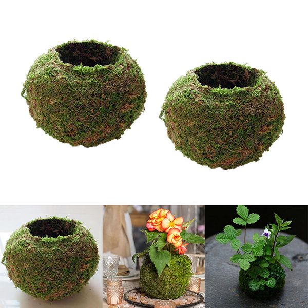 

natural dry moss ball bonsai green moss planting ball flowerpot 15cm, pack of 2