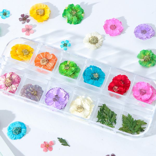 

nail art decoration dried flower 3d manicure polish summer real preserved floral leaf mixed dry bloom tips, Silver;gold