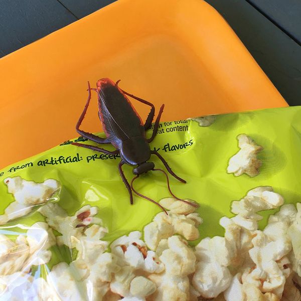 

cockroach styling sealing clip simulation small strong clip storage finishing kitchen food clip decoration novelty items home dÃ©cor gifts