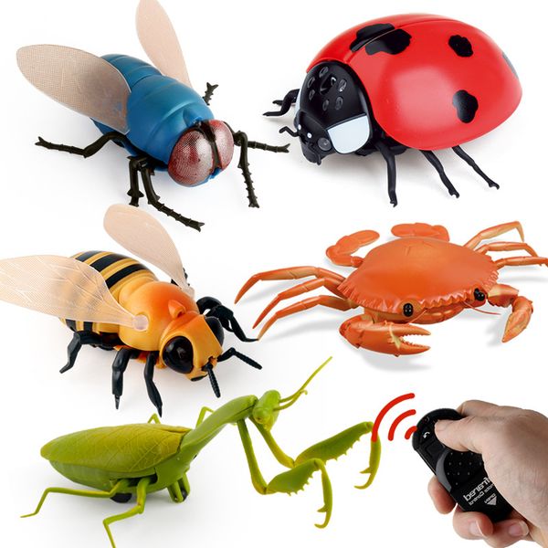 

new strange remote control housefly ladybug crab bee simulation tricky infrared rc insect toys for children christmas birthday gift c1856