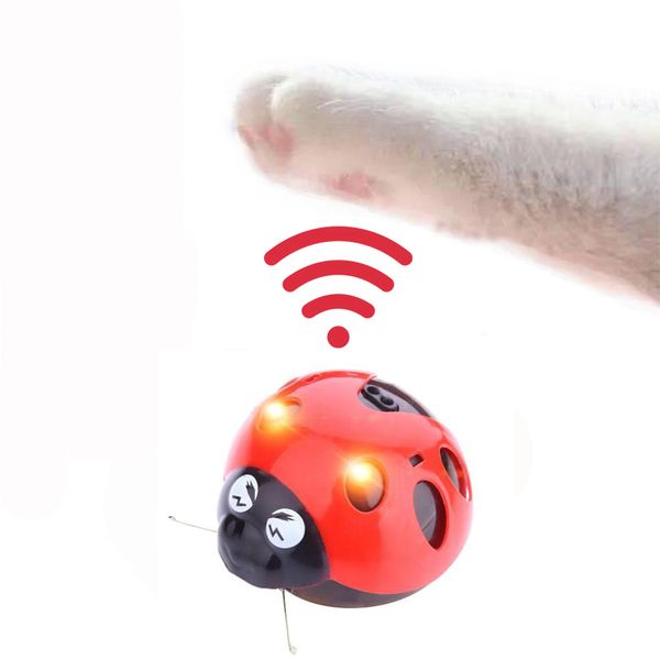 

поймайте меня супер fun cat toy aaa батареек, игрушки pet посмотрите видео, чтобы узнать больше