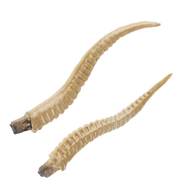 

artificial antelope horns costume gothic hair headband hoop diy accessories