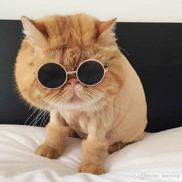 

собака кошка pet очки солнцезащитные очки собака глаз носить фото реквизит собаки кошки аксессуары товары для домашних животных товары для д