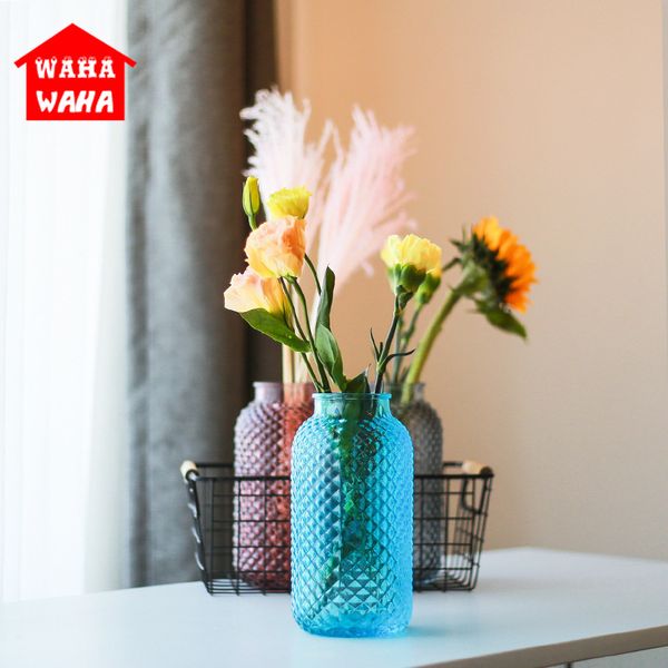 Creative Nordic Glass Vases Hydroponics Plant Flower Bottle