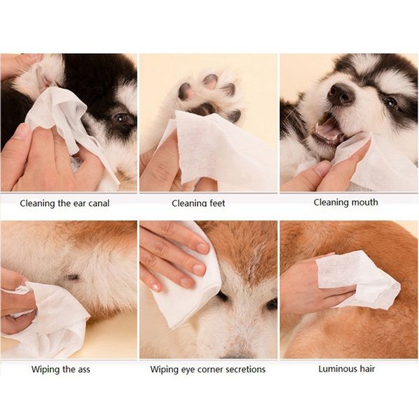 

70 pcs/bag pet special face eyes wipes safely gently cleaning towel for cats dogs summer tidy hypoallergenic antibacterial
