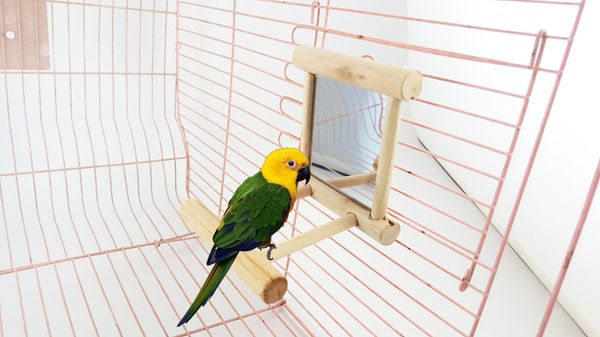 

parrot toys bird toys mirror parrot stand bar can hang cage on