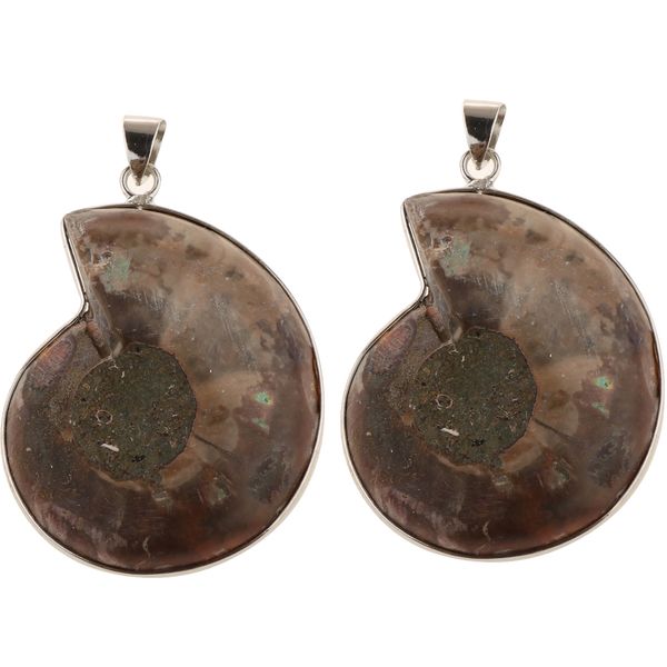 

2 pieces ammolite snail conch charm pendant for diy sweater chain necklace, Silver
