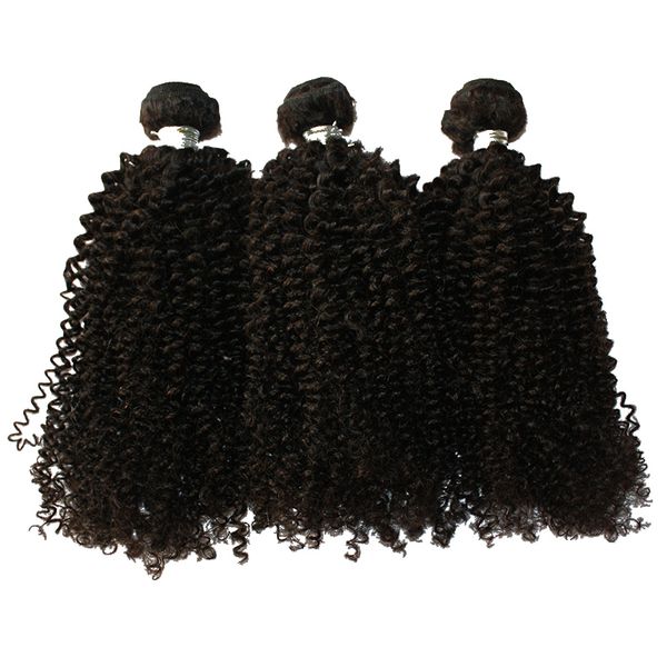 

ce certificated dhl fedex 100g/piece 3pcs/lot 100% unprocessed mongolian kinky curly hair bundles extensions products, Black