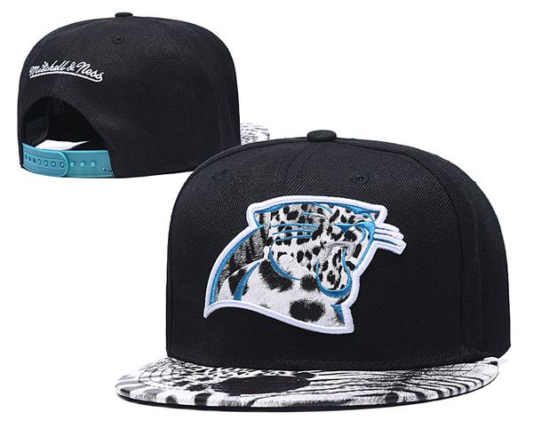 carolina panthers skull cap