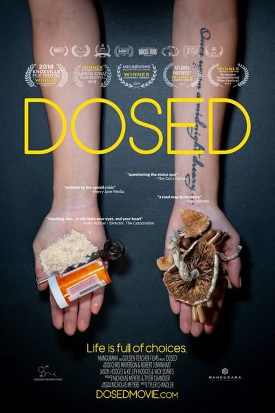 

dosed poster silk art new movie