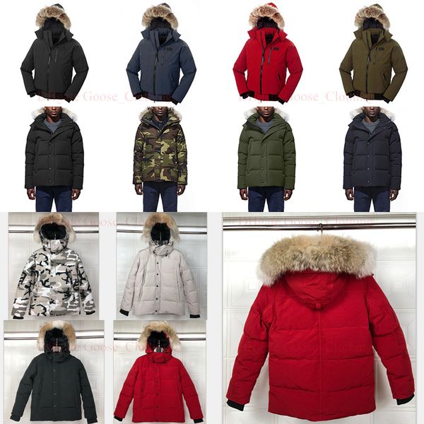 

wolf fur men winter jacket luxury designer puffer men's goose down jacket north parka coat bomber coats outdoor warm windbreaker doudou, Black