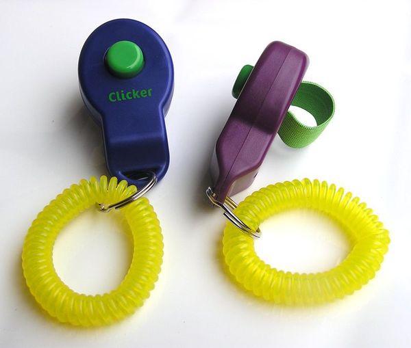 

pet trainer pet dog training dog clicker adjustable sound doggy train click key ring and wrist strap pet training tool 111