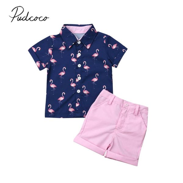 

2019 children summer clothing 2pcs set toddler kid baby boy flamingo t-shirt+shorts pants outfits short sleeve clothes 1-6t, White