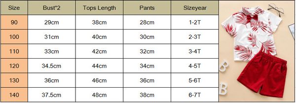 

2pcs toddler kid baby boy clothes outfit sets beach leaves t shirt shorts pants boys clothes set, White