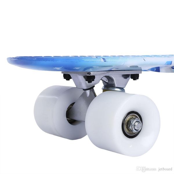 

22 inch dolphin pattern four-wheel long skateboard pp plastic board deck customizable pp deck skate board plastic skateboard