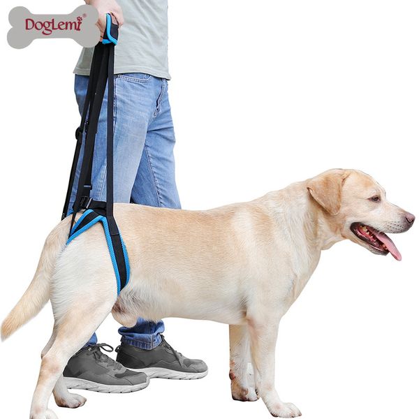 

adjustable dog lift harness for back legs pet support sling help weak legs stand up pet dogs leash aid assist tool