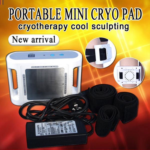 

2019 mini portable home use cryo fat ing machine lipo slimming machine cryopad body shaper slimming machine dhl ing