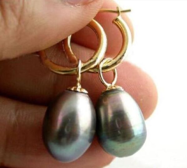 

14 k/20 de oro amarillo caliente un par 11-14 mm de australia del sur mar negro pendiente de la perla, Silver