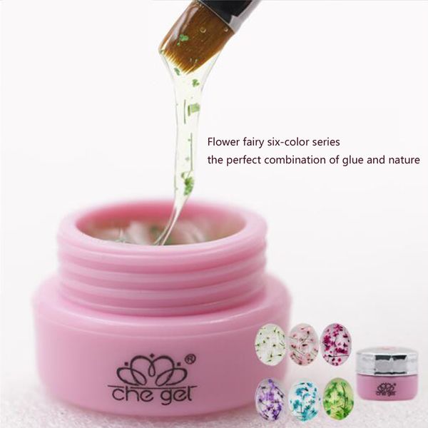 

6colors / set dried flower nail polish model ptherapy gel transparent nail polish flower fairy series glue arta567