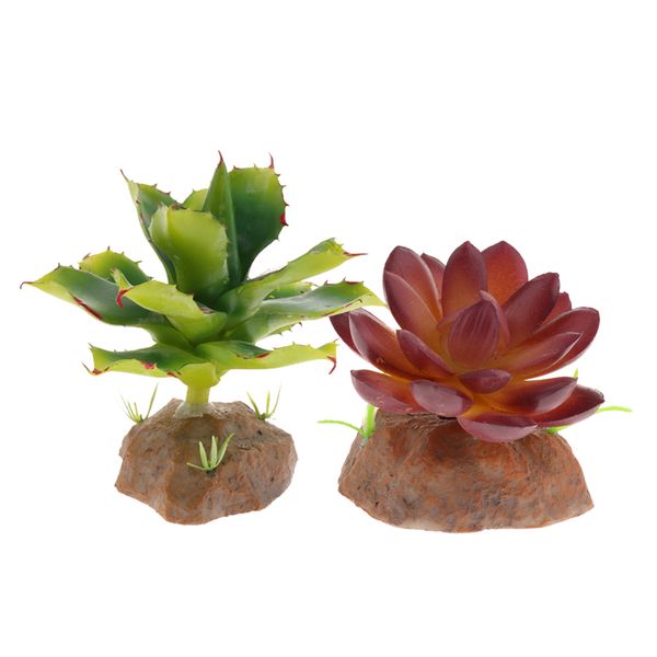 

2 pieces succulent plant with resin base reptile terrarium vivarium ornament