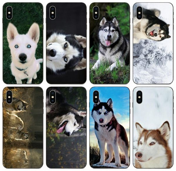 

tongtrade] сибирский хаски собака чехол для iphone 11 pro x xs max 8s 8 7s 7 6s 6 galaxy m10 m20 m30 m30s m40 huawei y5 sony z3 компактный