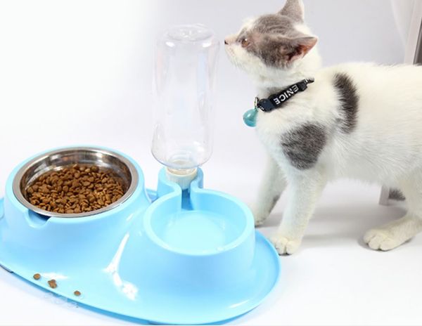 2019 Automatic Feeder For Stainless Steel Bowl Drinking Machine