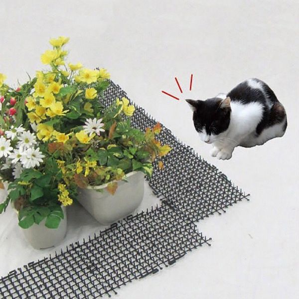 

2м пластиковые cat dog drive колючая pad животных защитные scare мат garden cat ногтей защитный забор prickle thorn, чтобы защитить завод