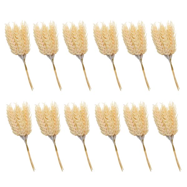 

12pcs wheat ears, dried flowers, garden plants, primary colors