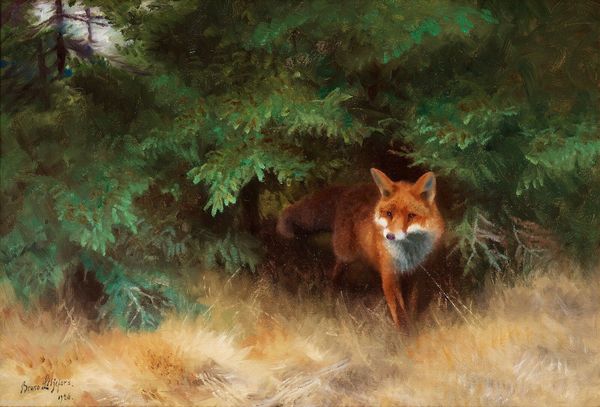

liljefors bruno fox hiding under spruce home wall art decor handpainted &hd print oil painting on canvas wall art canvas pictures 190903