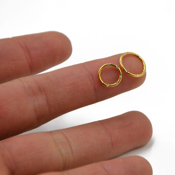 

1piece g23 titanium segment hinged rings septum nose clicker piercing nose lip earrings helix nose piercing body jewelry, Slivery;golden