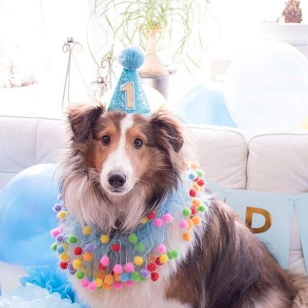

1 year old birthday hat for lovely dog cat pet party cap costume headwear blue/pink