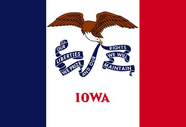 

drop shipping american iowa copy state flag 3x5ft usa polyester flag banner white sleeve and two grommets