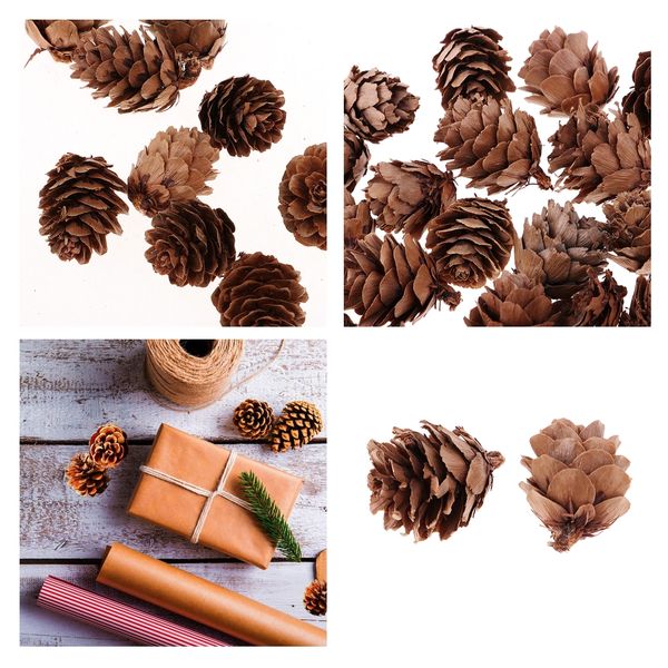 

100 pieces home garden wedding party embellishments real natural mixed pine cones in bulk for accents decoration ornament