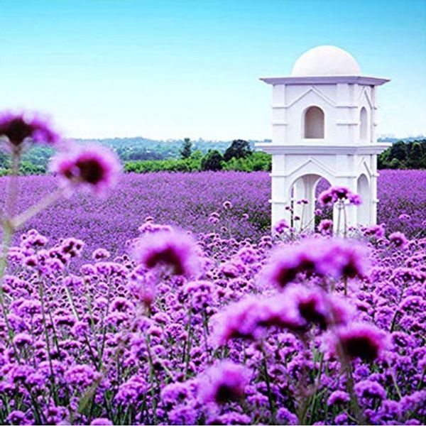 

Full Square/Round Drill 5D DIY Diamond Painting kits "Purple flower " cross stitch Mosaic Home Decor crafts Art Experience toys Gift A0797