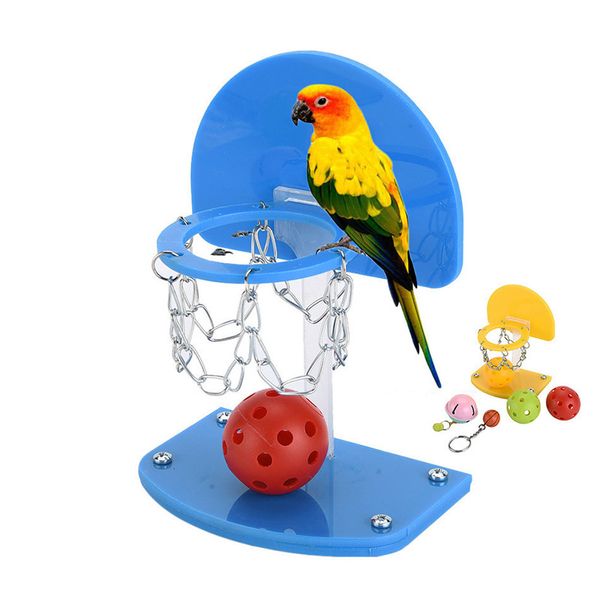 parrot puzzle toys