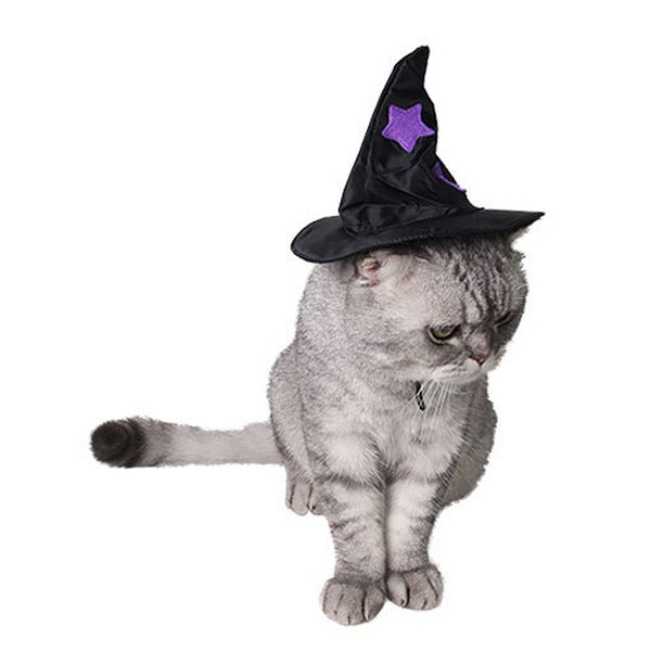 

хэллоуин lovely pet cosumes кота собаки headwear witch щенок партии star hat