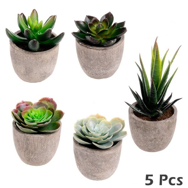 

5pc pe plastic faux succulent artificial succulent cactus fake cacti plants with wood gray pots for table garden home decor