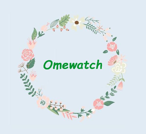 

omewatch payment link новый товар высокое качество просто платежная ссылка пожалуйста обсудите с продавцом перед размещением заказа, Blue;gray