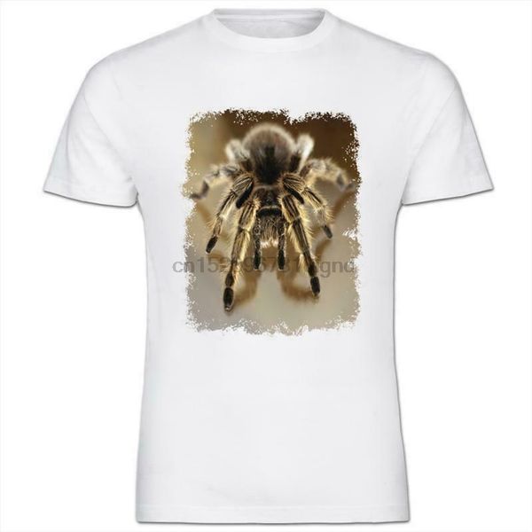 

close up of a spider mens cotton t shirt, White;black