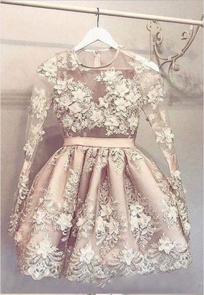 

sheer long sleeves short lace homecoming dresses 2019 custom o-neck formal party gowns graduations vestidos de soiree beaded, Blue;pink