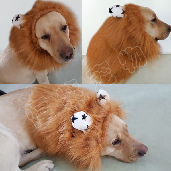 

jungle of wang pets change body funny dog clown bring ears large meatball set hats