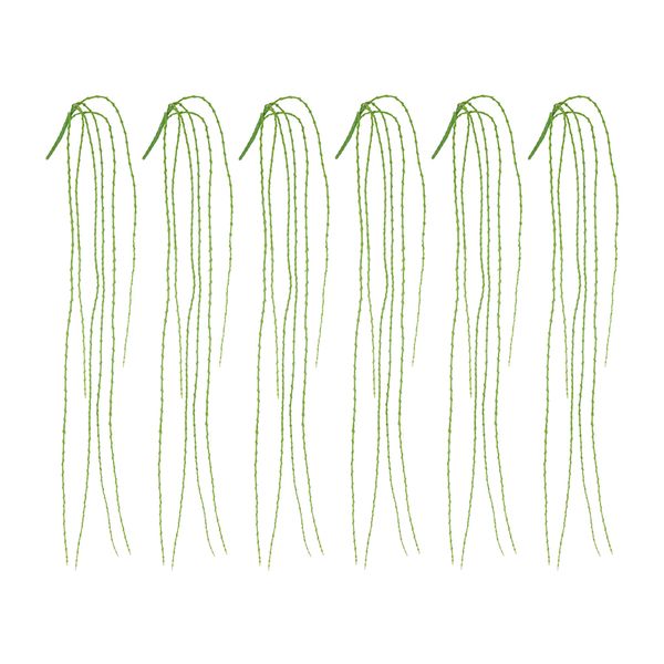 

5шт чешуйчатые висячие виноградные растения почки плакучей ивы