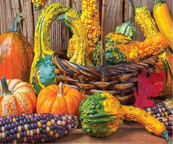 

Full Square/Round Drill 5D DIY Diamond Painting "Pumpkin corn" Embroidery Cross Stitch Mosaic Home Decor Art Experience toys Gift A0442