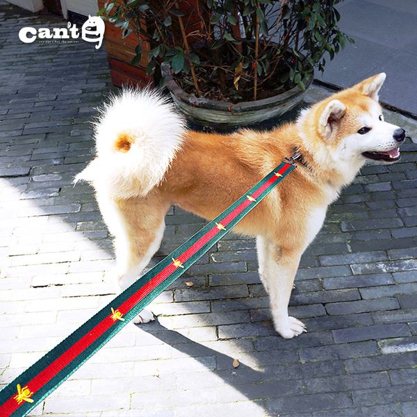 

Пчелка с принтом ошейники для кошек Pet Pet Сундук назад костюм группы Открытый соба